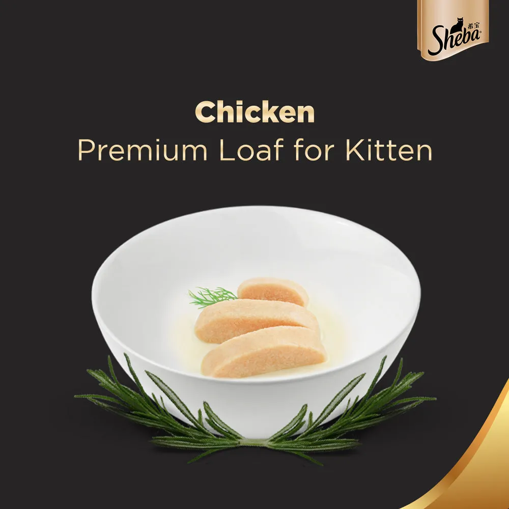 Sheba Chicken Loaf Rich Premium Kitten (2 to 12 Months) Fine Wet Food and Irresistible All Life Stage Cat Dry Food Combo