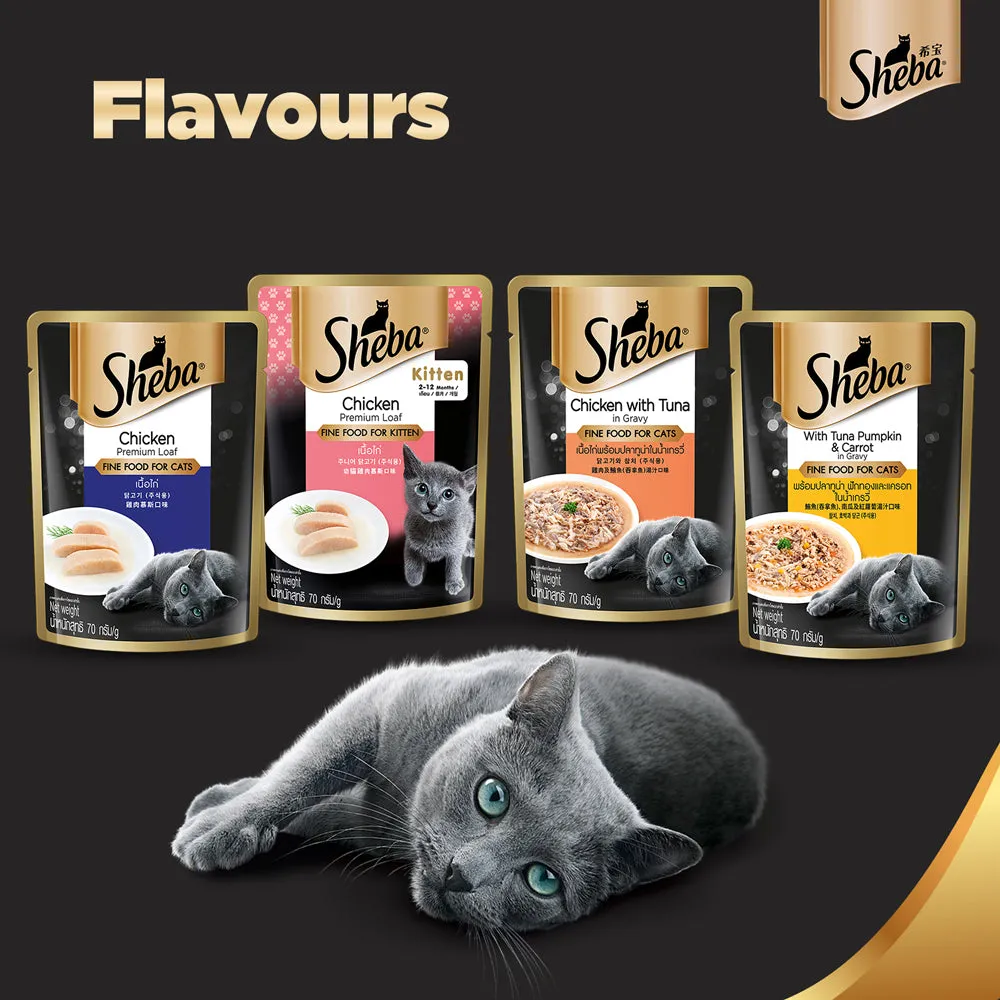 Sheba Chicken Loaf Rich Premium Kitten (2 to 12 Months) Fine Wet Food and Irresistible All Life Stage Cat Dry Food Combo