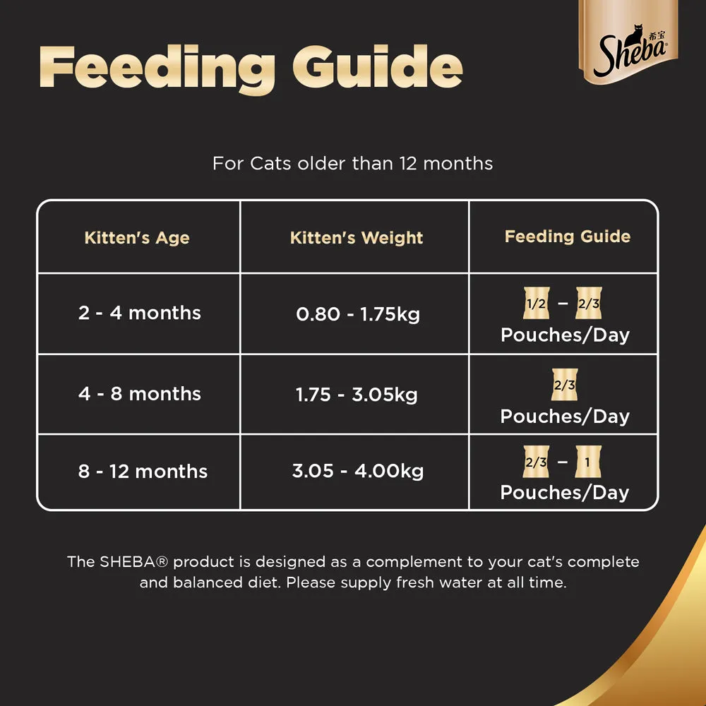 Sheba Chicken Loaf Rich Premium Kitten (2 to 12 Months) Fine Wet Food and Irresistible All Life Stage Cat Dry Food Combo