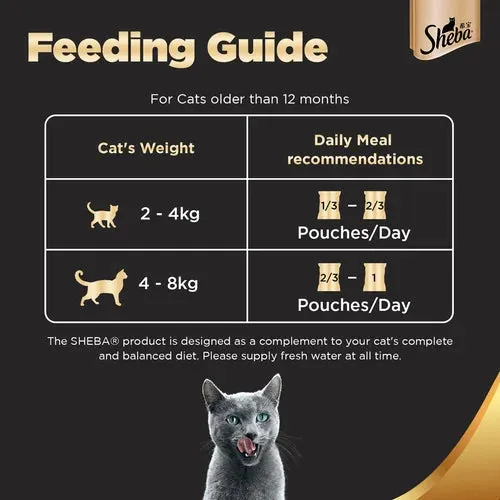 Sheba Chicken With Tuna In Gravy and Fish with Dry Bonito Flake Premium Cat Wet Food Combo