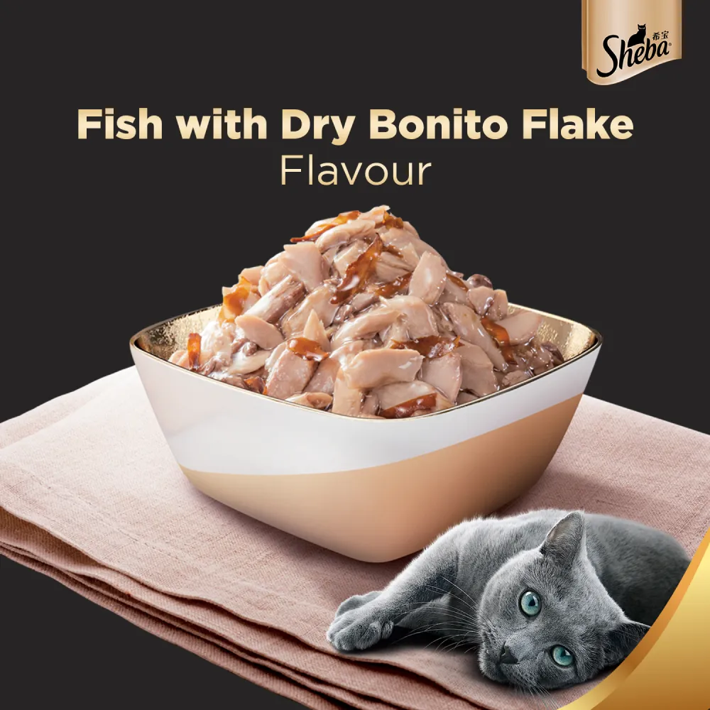 Sheba Chicken With Tuna In Gravy and Fish with Dry Bonito Flake Premium Cat Wet Food Combo