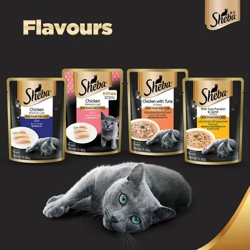 Sheba Chicken With Tuna In Gravy and Tuna Pumpkin & Carrot In Gravy Rich Premium Adult Fine Cat Wet Food Combo