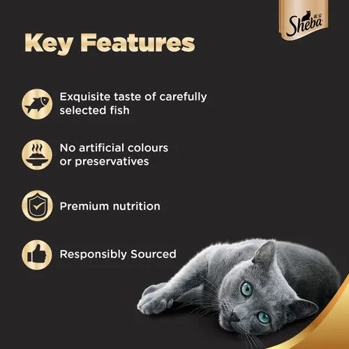 Sheba Maguro & Bream Fish Mix and Fish with Sasami Premium Cat Wet Food Combo