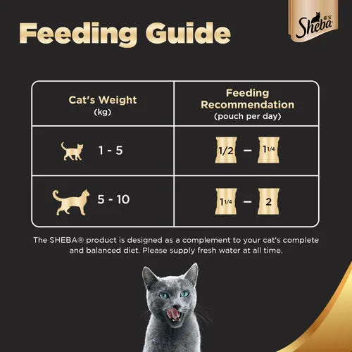 Sheba Maguro & Bream Fish Mix and Fish with Sasami Premium Cat Wet Food Combo