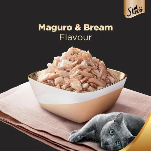 Sheba Maguro & Bream Fish Mix and Fish with Sasami Premium Cat Wet Food Combo