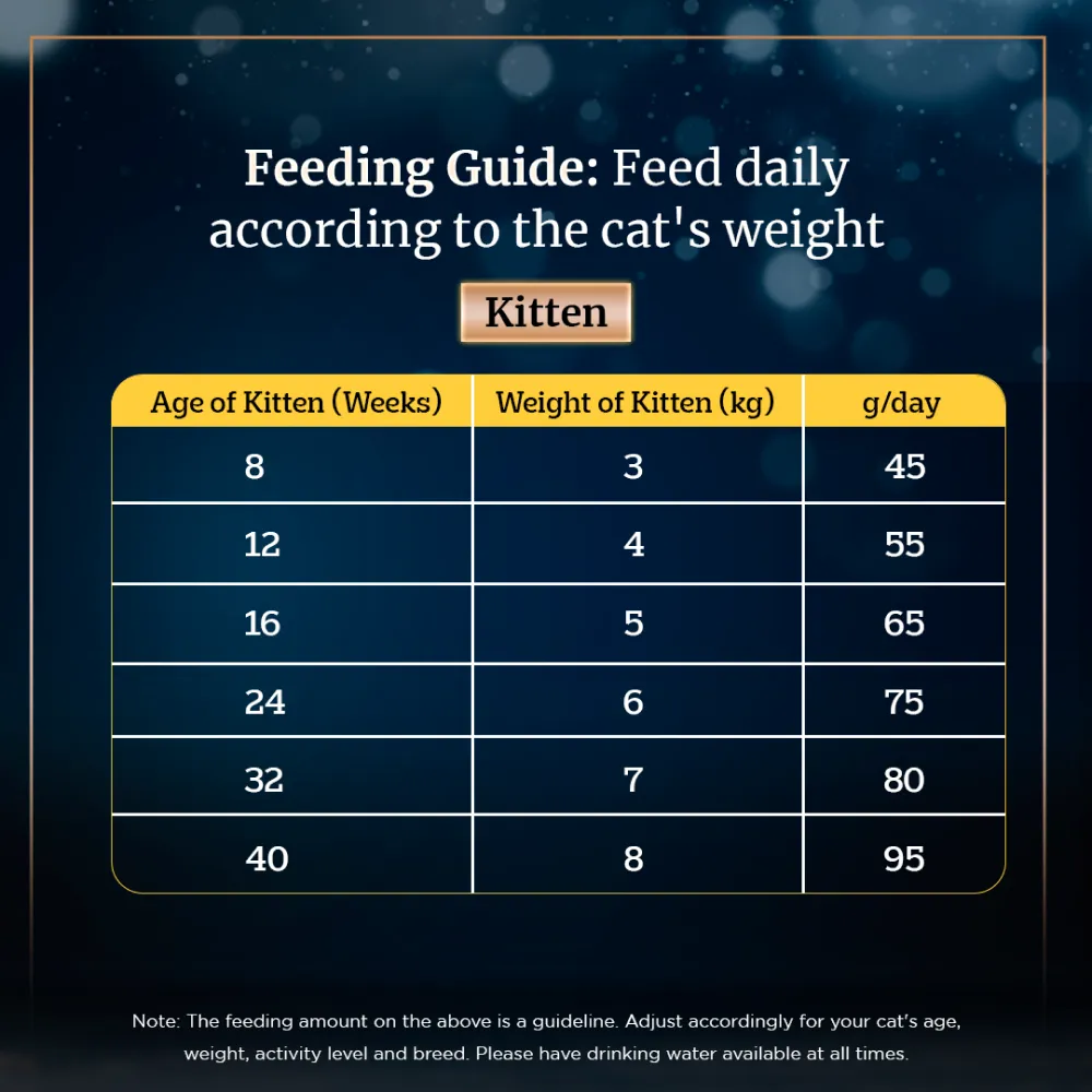 Sheba Salmon Flavour and Chicken Flavour Irresistible All Life Stage Cat Dry Food Combo