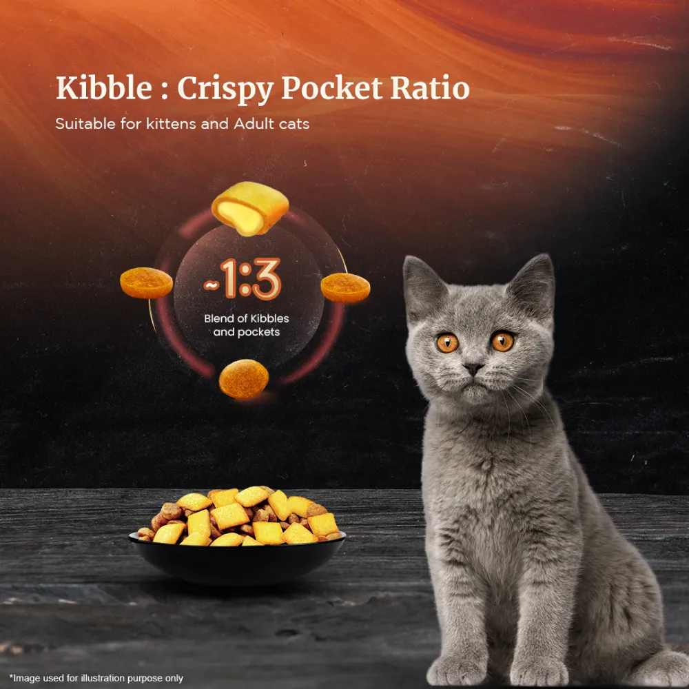 Sheba Salmon Flavour and Chicken Flavour Irresistible All Life Stage Cat Dry Food Combo