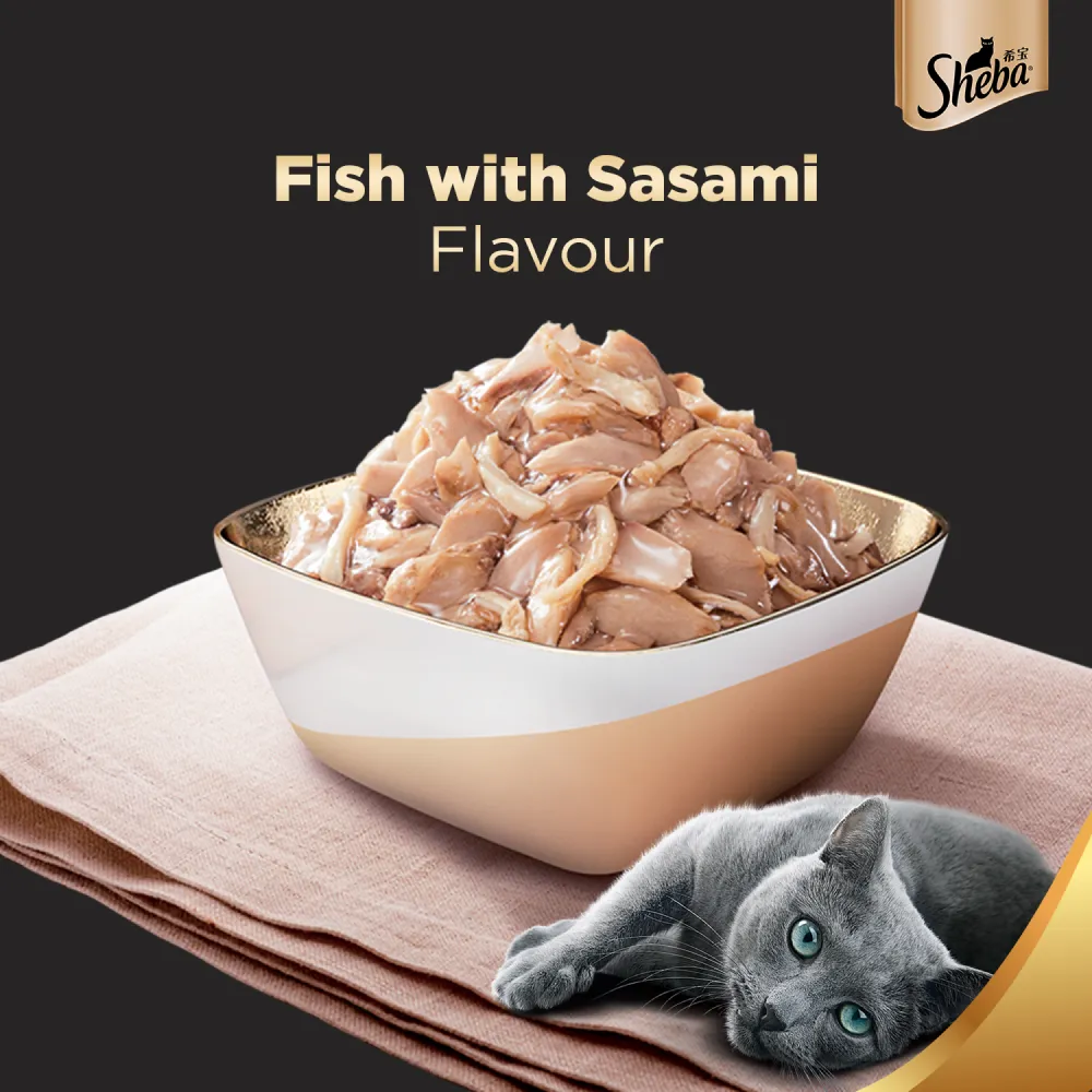 Sheba Skipjack & Salmon Fish, Maguro & Bream and Fish with Sasami Flake Premium Cat Wet Food Combo