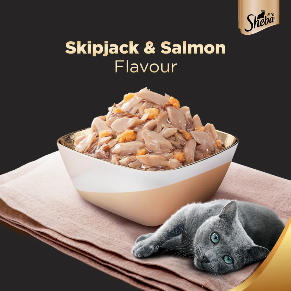 Sheba Skipjack & Salmon Fish, Maguro & Bream and Fish with Sasami Flake Premium Cat Wet Food Combo