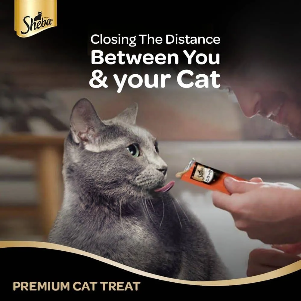 Sheba Tuna Flavor and Tuna & Prawn Maguro and Sheba Chicken & Chicken Whitefish Sasami Melty Premium Treats for Cats Combo