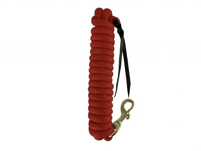 SHOWMAN 14' LEATHER END NYLON PRO BRAID TRAINING LEAD WITH BRASS SNAP