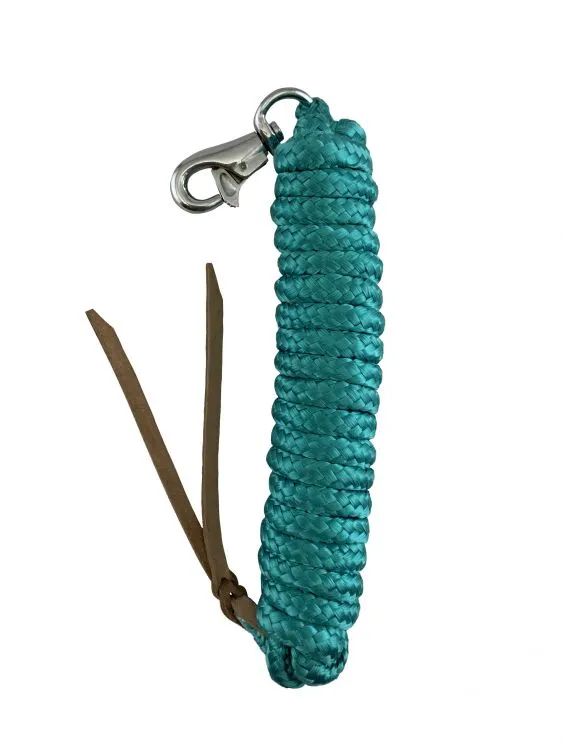 SHOWMAN 14' LEATHER END NYLON PRO BRAID TRAINING LEAD WITH BRASS SNAP