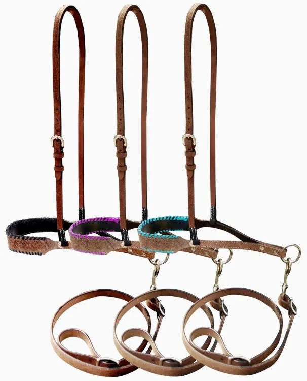 Showman  Leather noseband and tiedown with colorful rawhide lacing on nose.