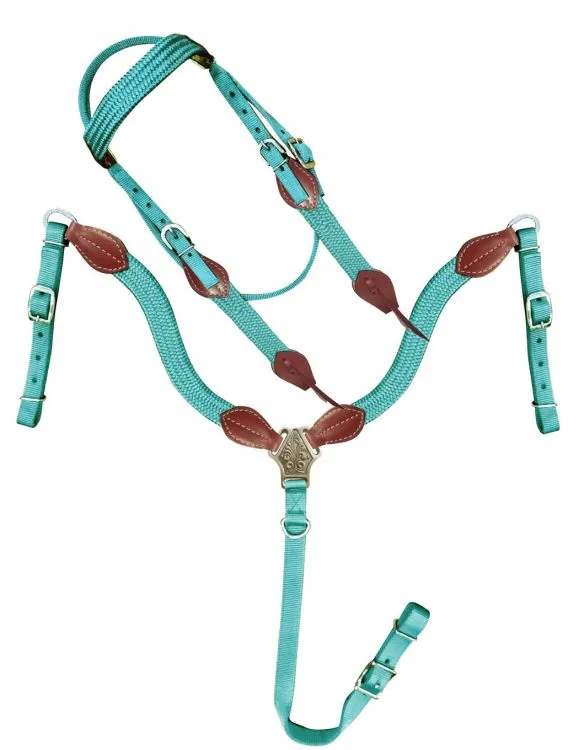 Showman  Nylon Brow Band Headstall and Breast collar set with leather accents.