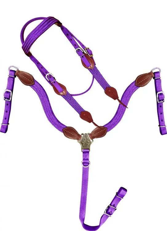 Showman  Nylon Brow Band Headstall and Breast collar set with leather accents.