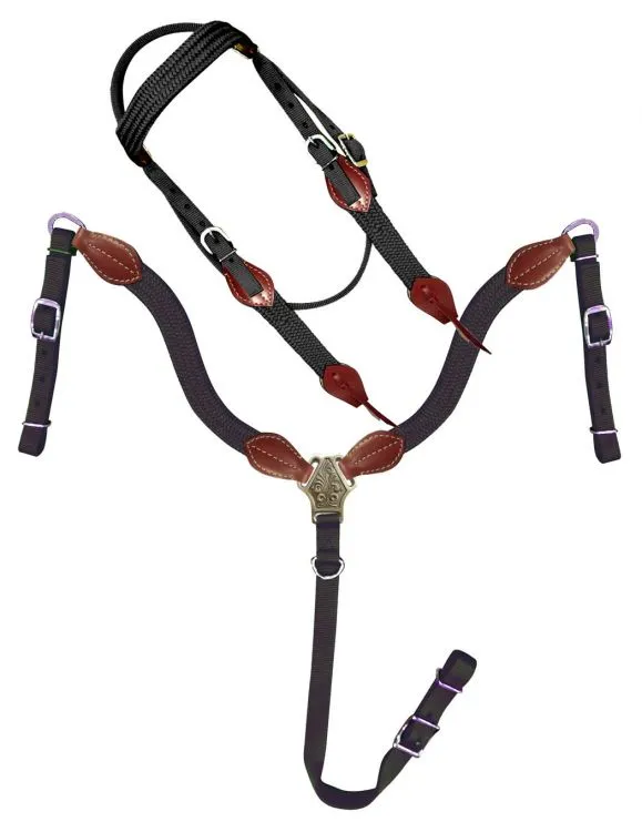 Showman  Nylon Brow Band Headstall and Breast collar set with leather accents.
