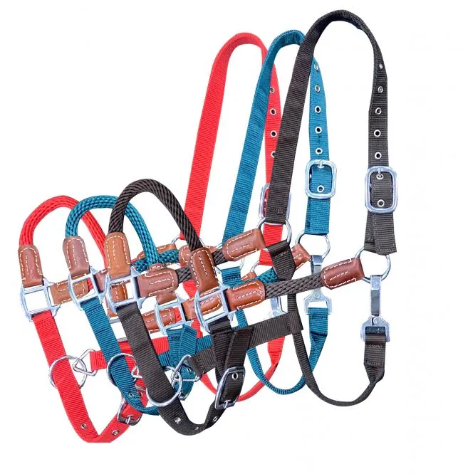 Showman  Nylon halter with Nylon Rope Nose and Cheeks with leather accents.