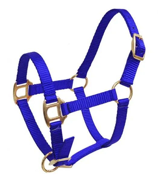SHOWMAN - PREMIUM NYLON HALTER W/ BRASS HARDWARE - MINI SIZE