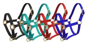 SHOWMAN - PREMIUM NYLON HALTER W/ BRASS HARDWARE - MINI SIZE