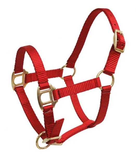 SHOWMAN - PREMIUM NYLON HALTER W/ BRASS HARDWARE - MINI SIZE