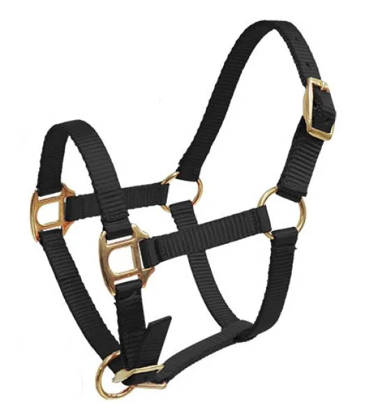 SHOWMAN - PREMIUM NYLON HALTER W/ BRASS HARDWARE - MINI SIZE