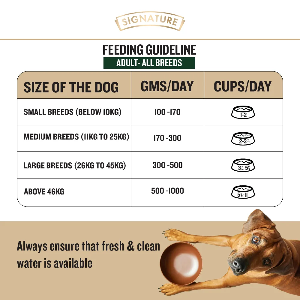 Signature Freedom Chicken and Rice and Grain Zero Real Chicken, Egg and Vegetables Adult Dog Dry Food Combo