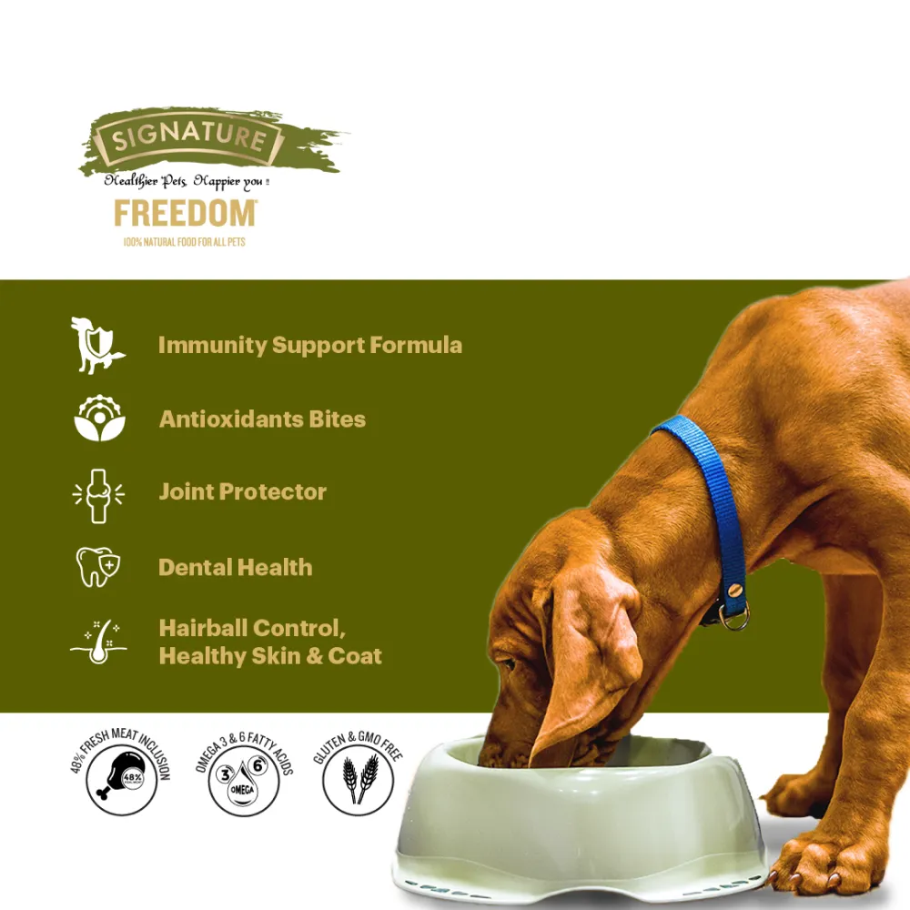 Signature Freedom Chicken and Rice and Grain Zero Real Chicken, Egg and Vegetables Adult Dog Dry Food Combo