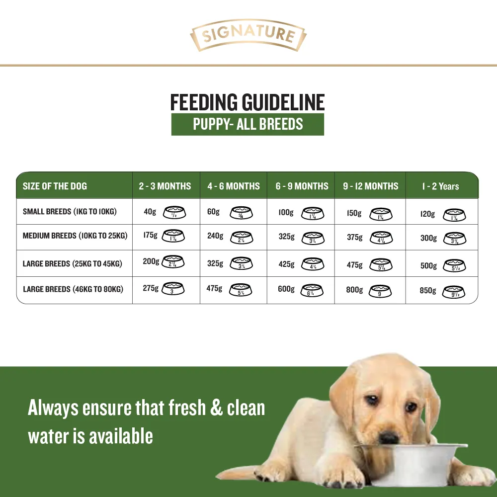 Signature Freedom Chicken and Rice Recipe and Grain Zero Real Chicken, Egg and Vegetables Puppy Dog Dry Food Combo