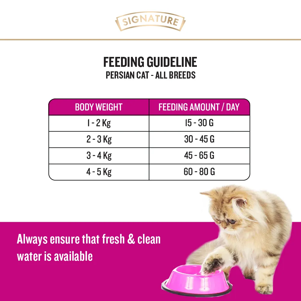 Signature Grain Zero Ocean Fish, Sardine and Mackerel Long Coat & Persian Cat Dry Food and  Grain Zero Tuna and Ocean Fish Lickable Creamy Cat Treats