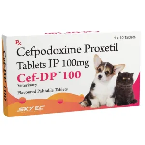 Skyec Cef-Dp 100mg for Dogs and Cats