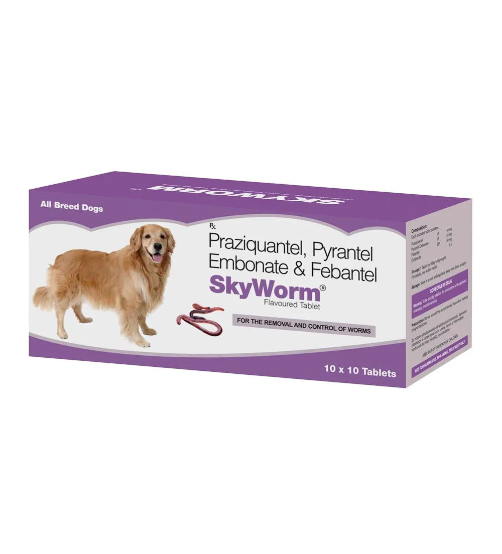 Skyec Skyworm XL Dog Deworming Tablet (Pack of 2) And Skyworm Dog Deworming Tablet (Pack of 10) Combo