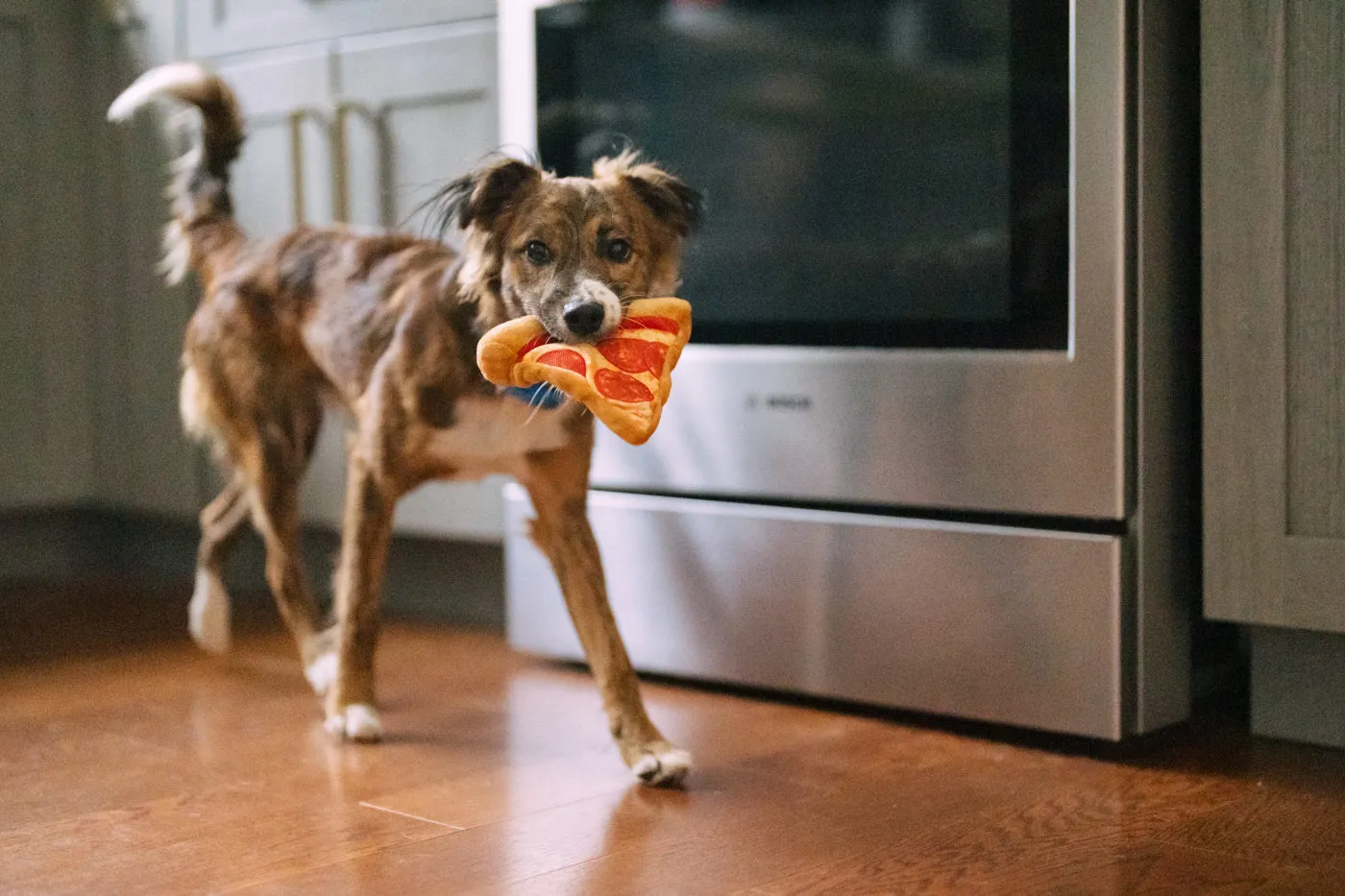 Snack Attack Puppy-roni Pizza