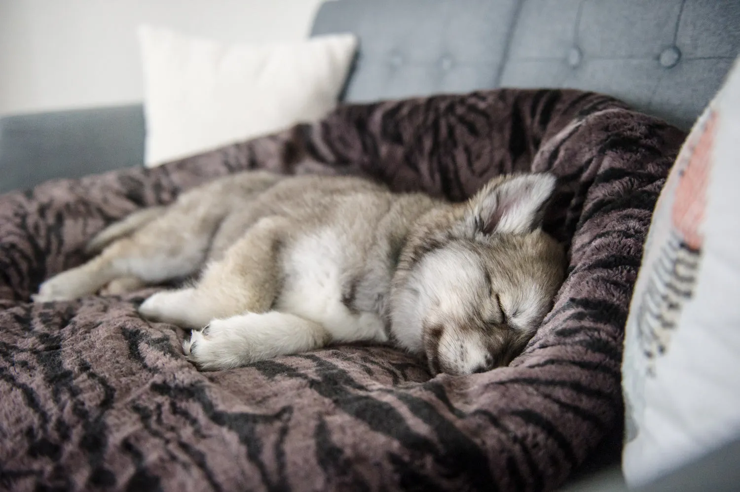 Snuggle Bed®