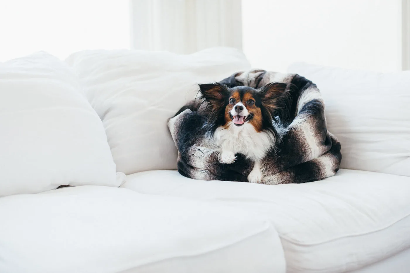 Snuggle Bed®