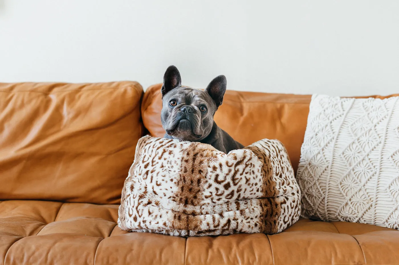 Snuggle Bed®