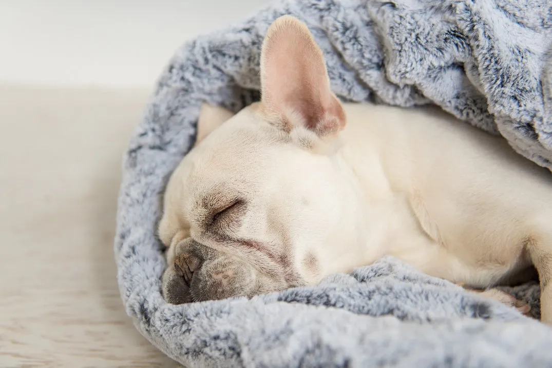 Snuggle Bed®
