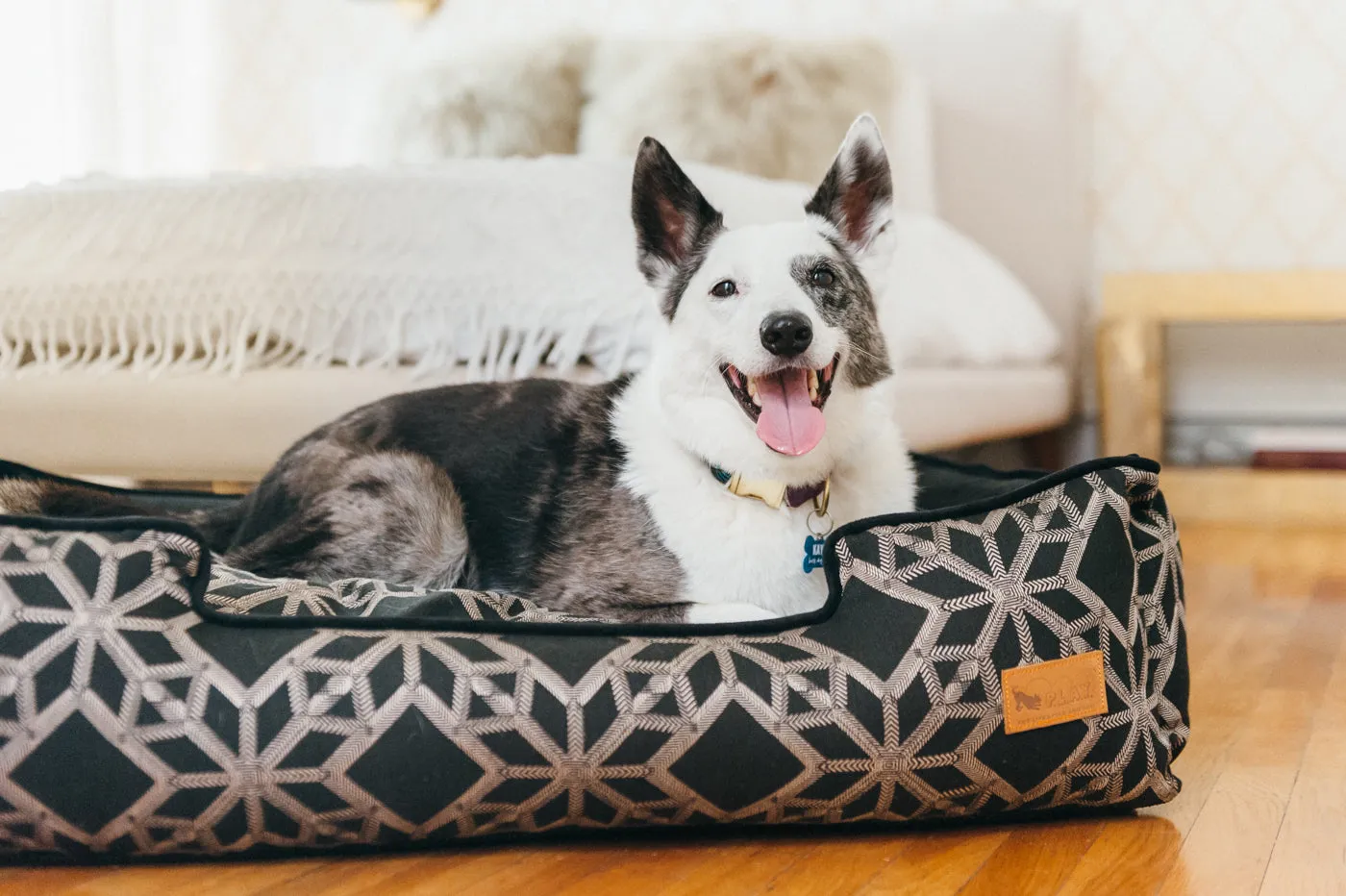 Solstice Lounge Bed
