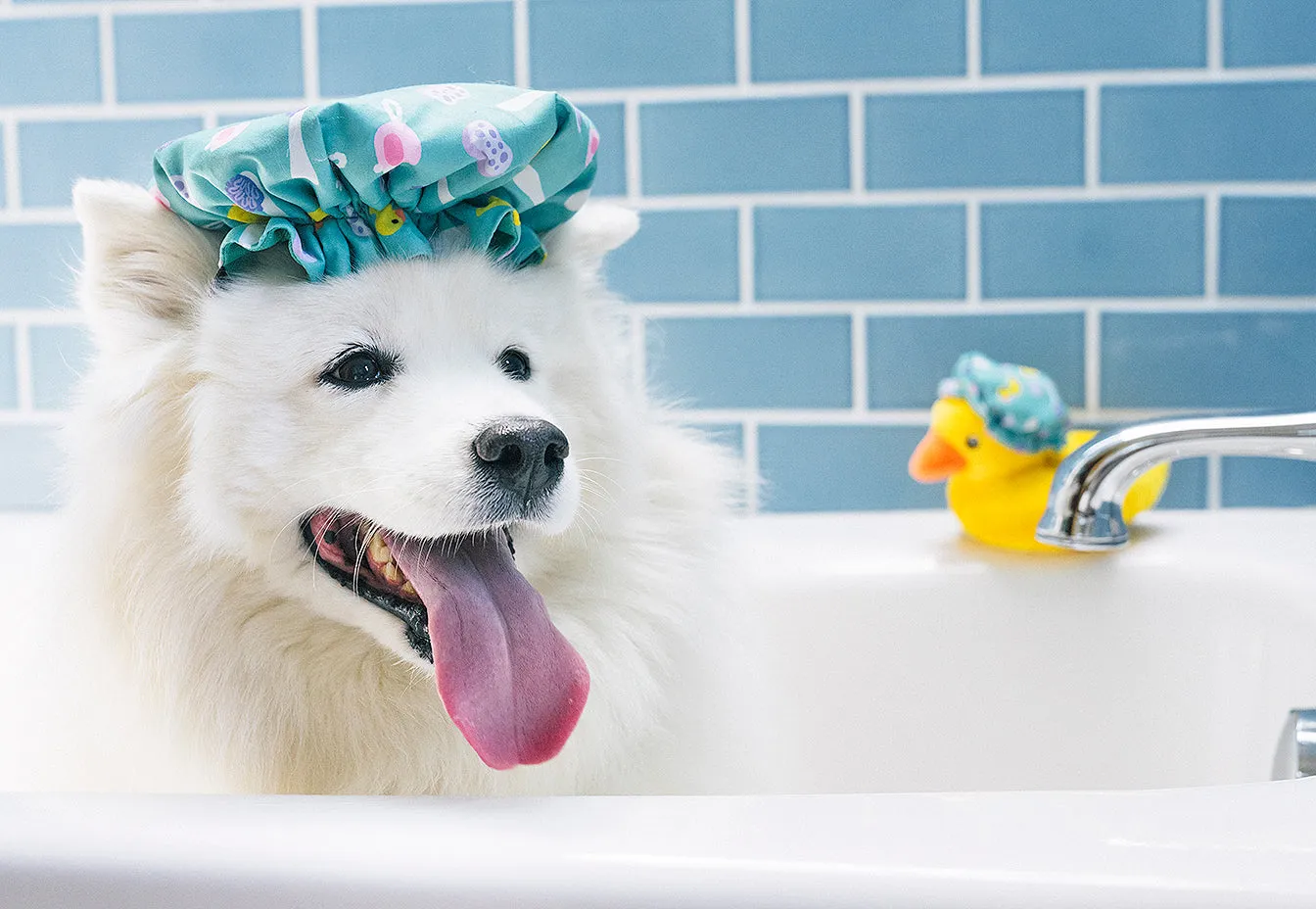 Splish Splash Collection