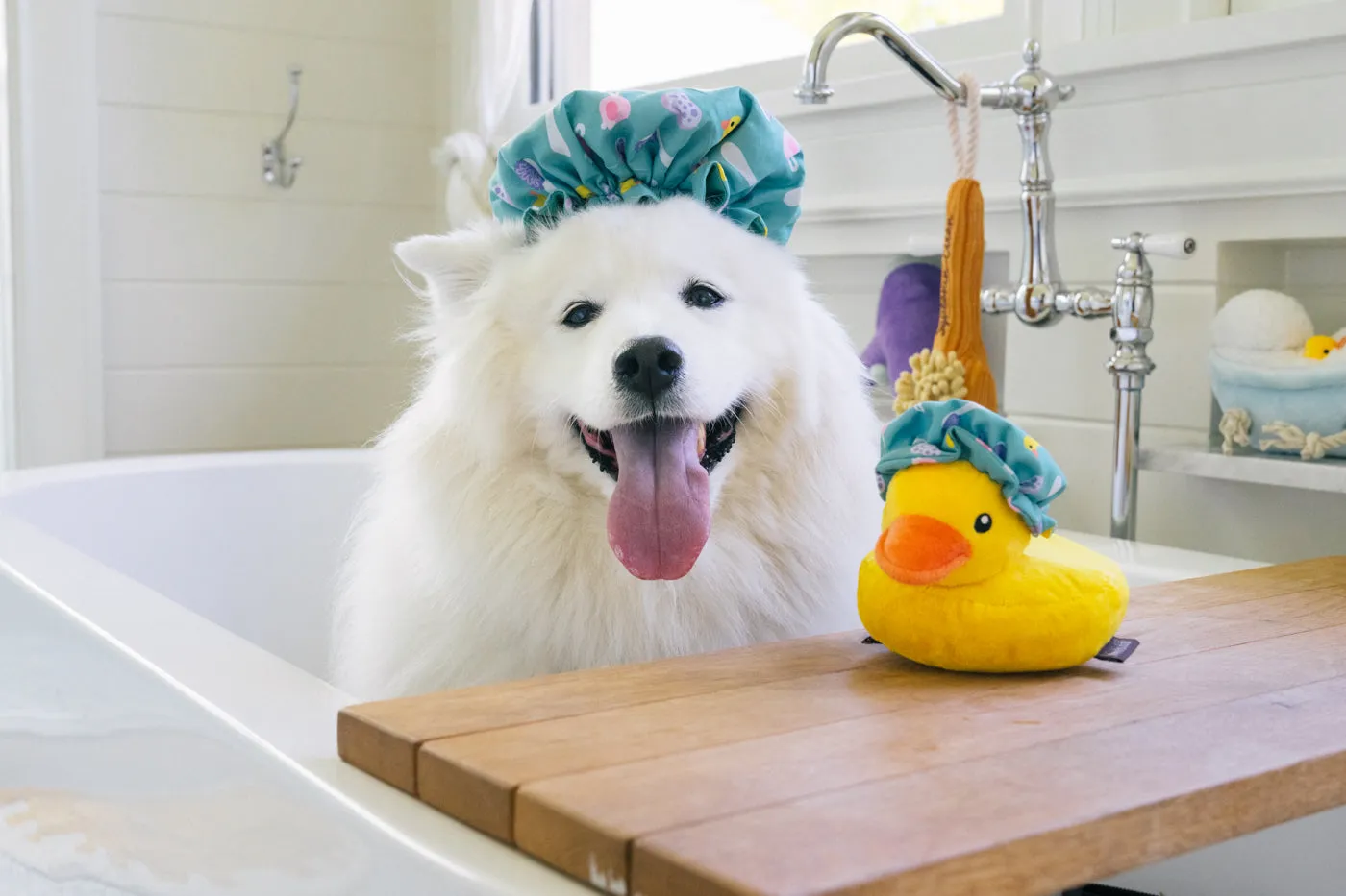 Splish Splash Shower Quack