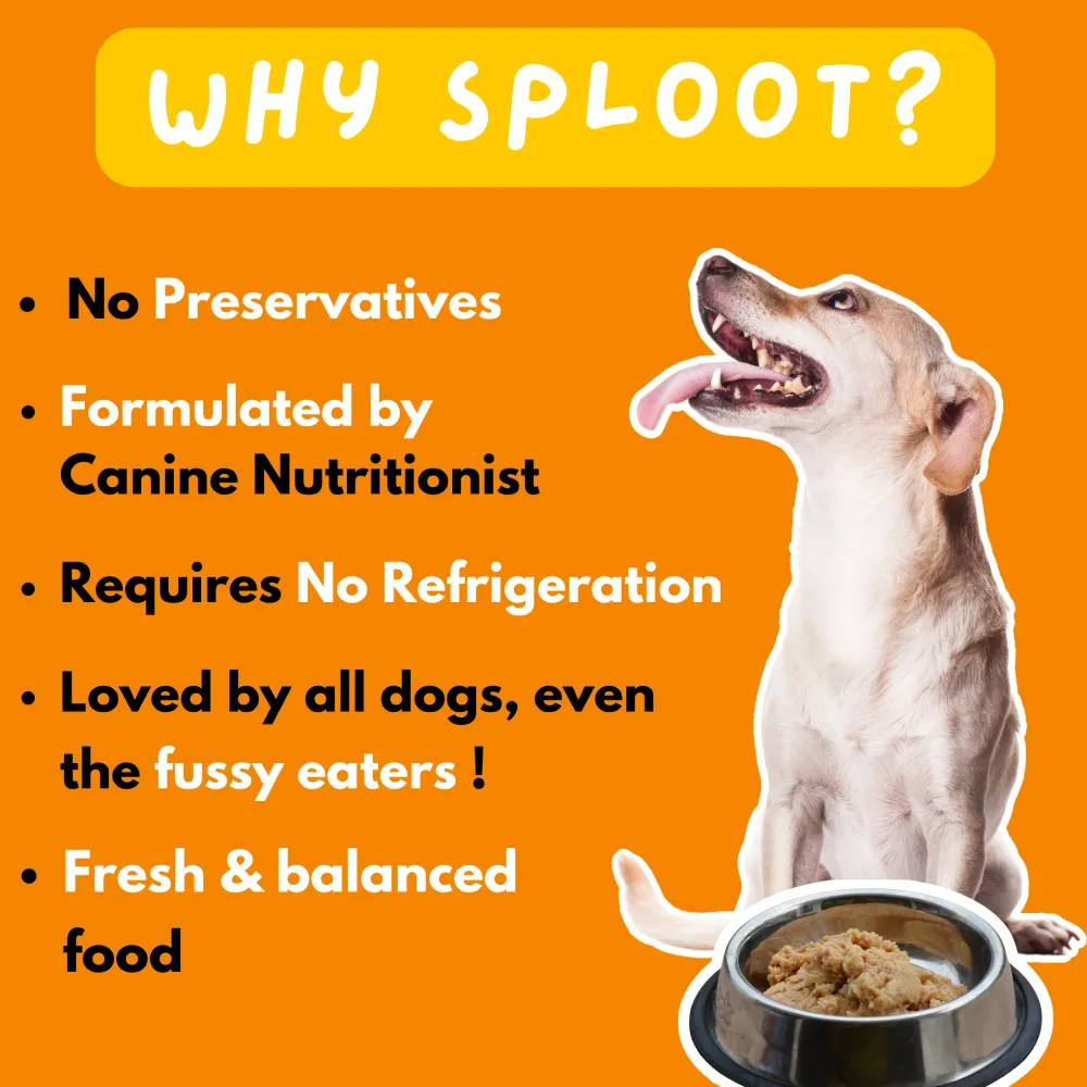 Sploot Meals Punchy Paneer and Egg Dog Wet Food