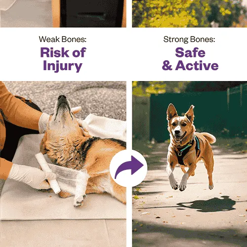 TailsAlive Calcium Chicken Flavor Soft Chews Supplements for Dogs