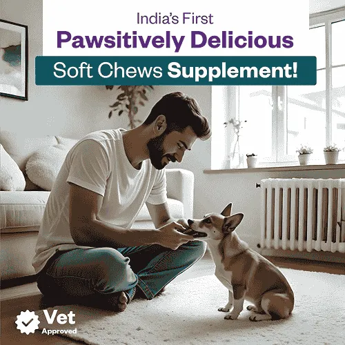 TailsAlive Calcium Chicken Flavor Soft Chews Supplements for Dogs