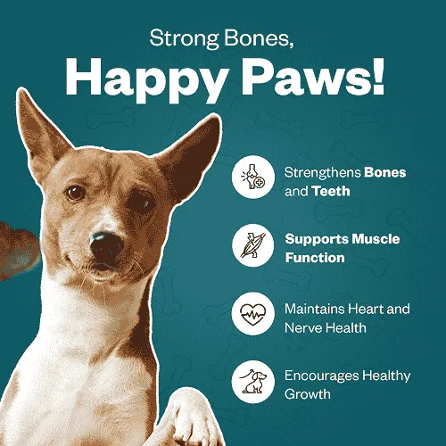 TailsAlive Calcium Chicken Flavor Soft Chews Supplements for Dogs