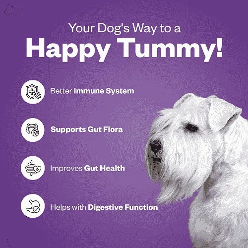 TailsAlive Probiotic Chicken Flavor Soft Chews Supplements for Dogs
