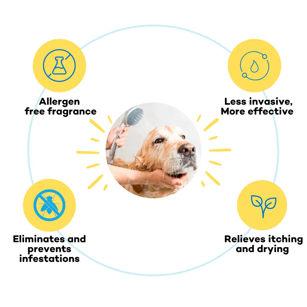 The Good Paws Tick Tick Boop Shampoo for Dogs