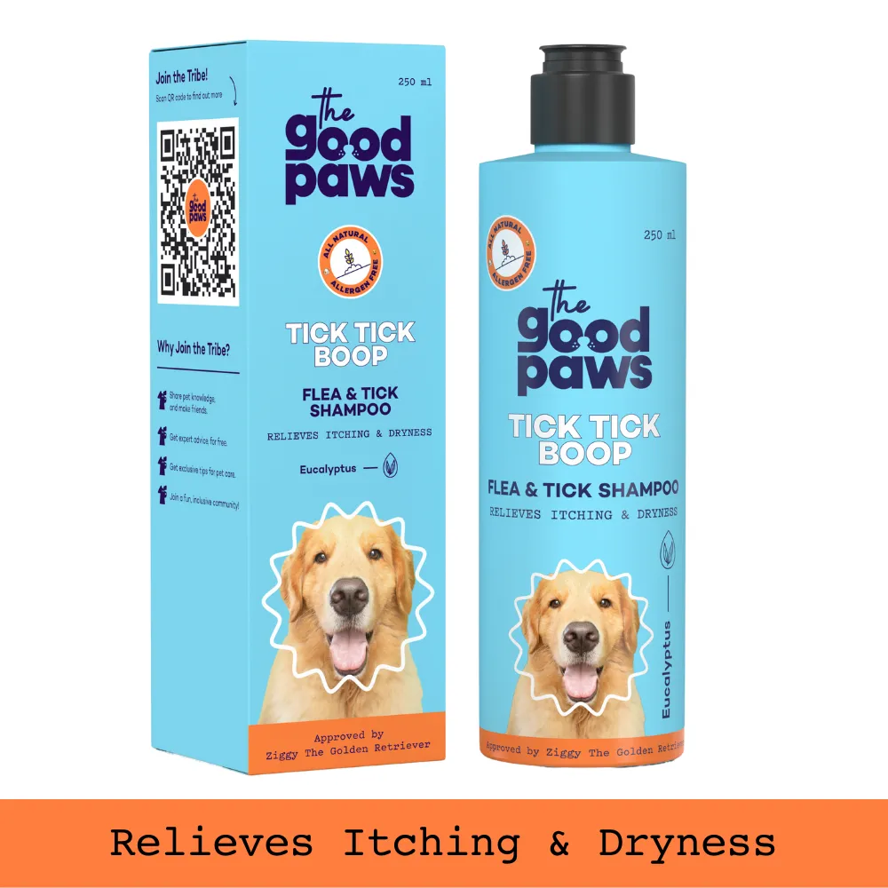 The Good Paws Tick Tick Boop Shampoo for Dogs