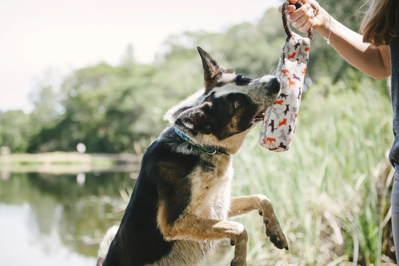 Toss & Float Toy