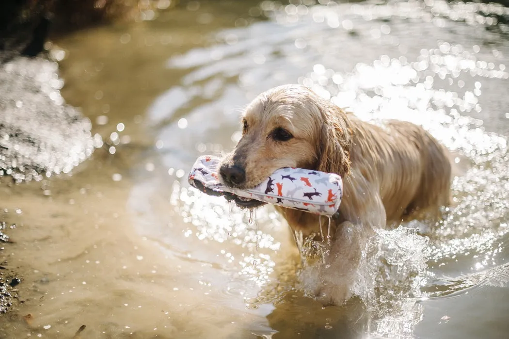 Toss & Float Toy