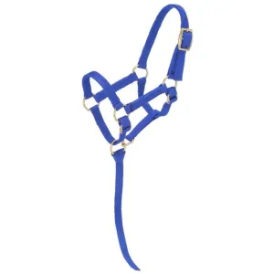 TOUGH1 MINIATURE NYLON HALTER - LARGE- ROYAL BLUE