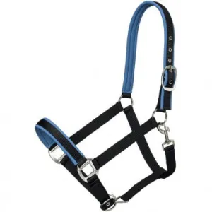 TOUGH1 NEOPRENE PADDED NYLON HALTER - TURQUOISE